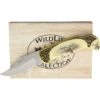China Made 311411DE China Made Deer Folder With Gift Box -TOPS Knives Shop 219332 219336